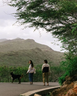 Timeless Organic Cotton Crop Trouser - Biscuit -Passenger Clothing Store GroupShot 4 5Ratio 28