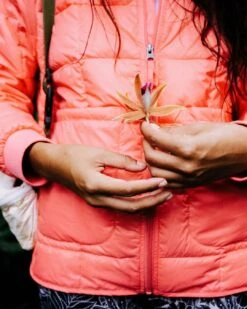 Lorelei Oversized Insulated Jacket - Shell Pink -Passenger Clothing Store LoreleiOversizedInsulatedJacket ShellPink 4 5Ratio 2