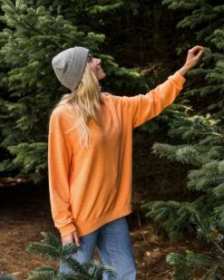Fauna Organic Cotton Textured Sweatshirt - Apricot -Passenger Clothing Store rmfyRVftL8hmzDr3bqJ8pbIUMhF8KbaI5sIfO3wOx4o